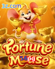56pg